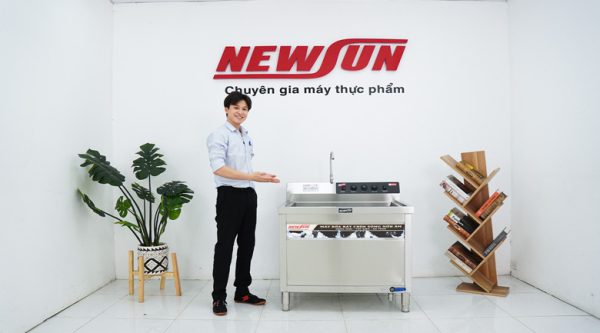 Thực tế máy rửa bát chén siêu âm chậu đơn WDJ-1000SS NEWSUN