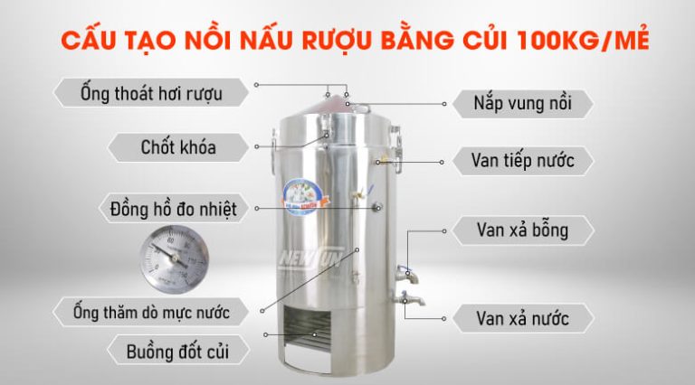 Cấu tạo chi tiết